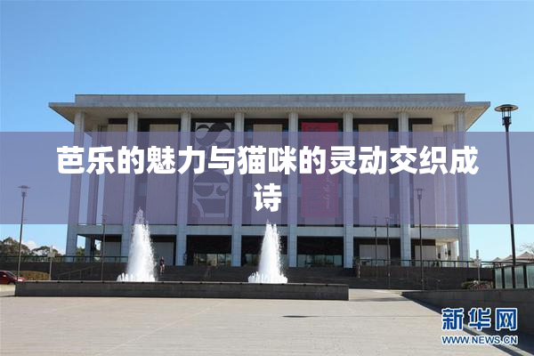 芭乐的魅力与猫咪的灵动交织成诗
