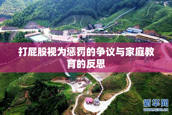 打屁股视为惩罚的争议与家庭教育的反思