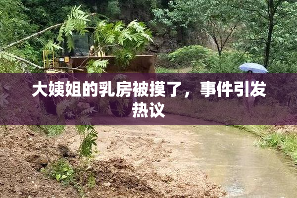 大姨姐的乳房被摸了，事件引发热议