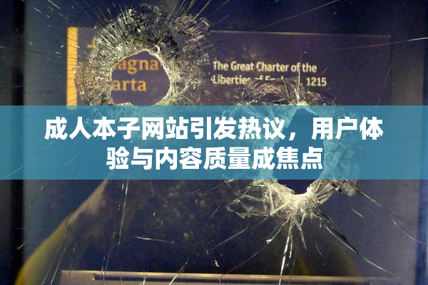 成人本子网站引发热议，用户体验与内容质量成焦点