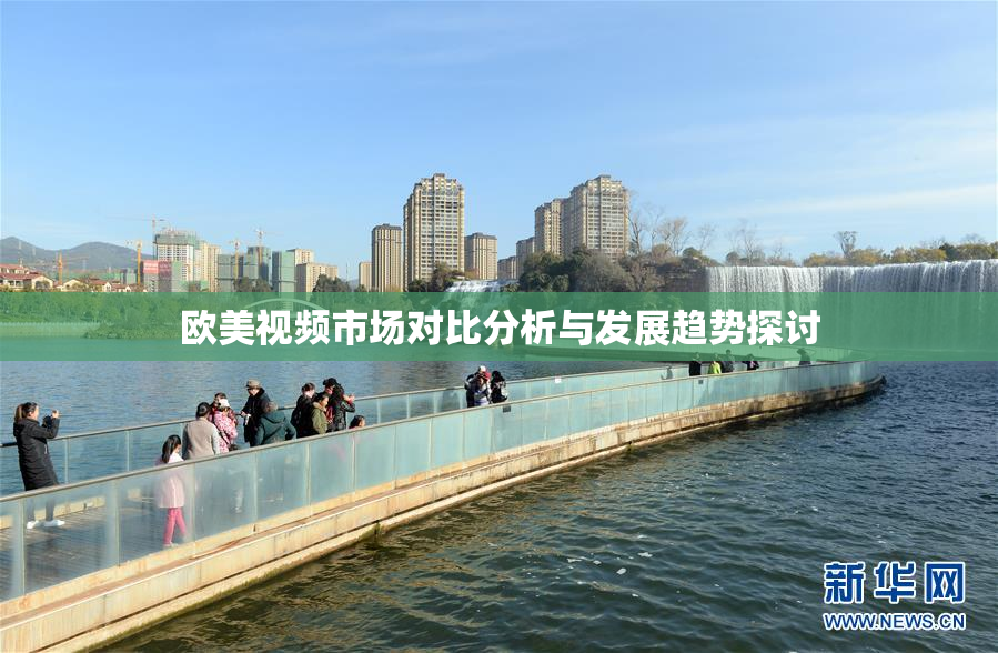 欧美视频市场对比分析与发展趋势探讨