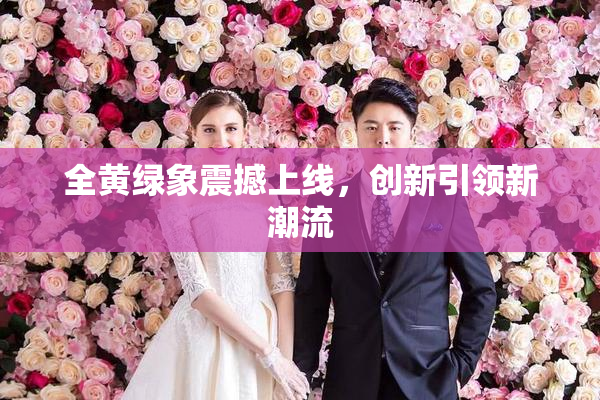 全黄绿象震撼上线，创新引领新潮流