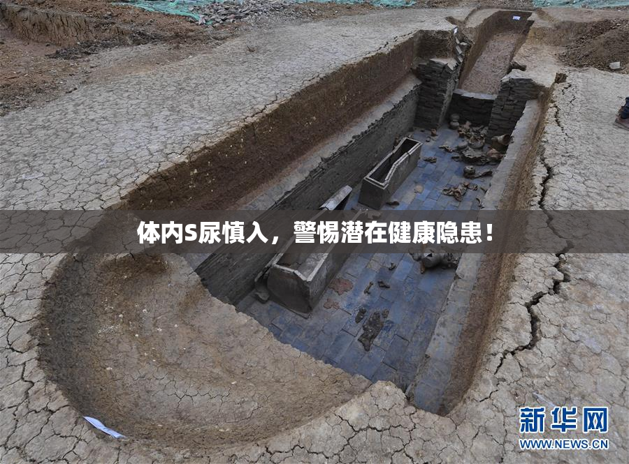 体内S尿慎入，警惕潜在健康隐患！