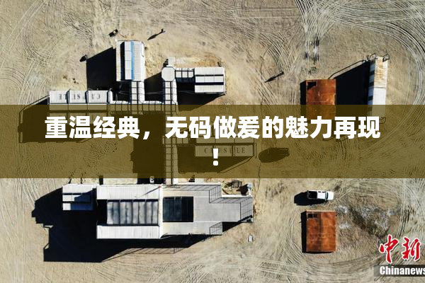重温经典，无码做爰的魅力再现！