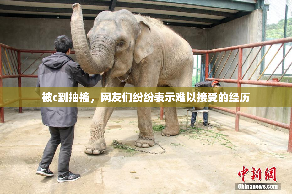 被c到抽搐，网友们纷纷表示难以接受的经历