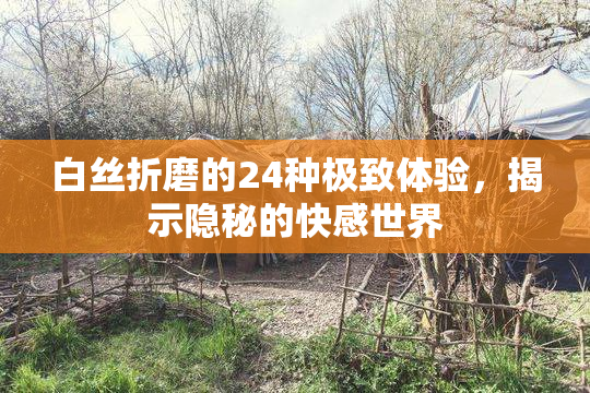 白丝折磨的24种极致体验，揭示隐秘的快感世界