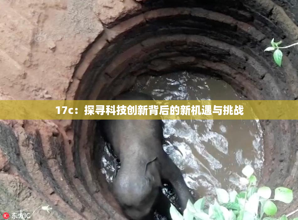 17c：探寻科技创新背后的新机遇与挑战