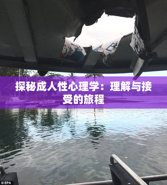 探秘成人性心理学：理解与接受的旅程