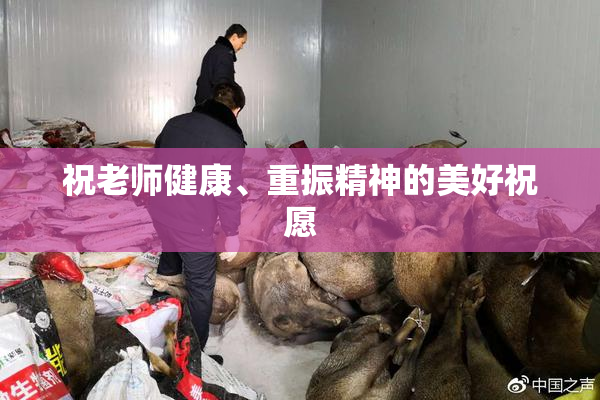 祝老师健康、重振精神的美好祝愿