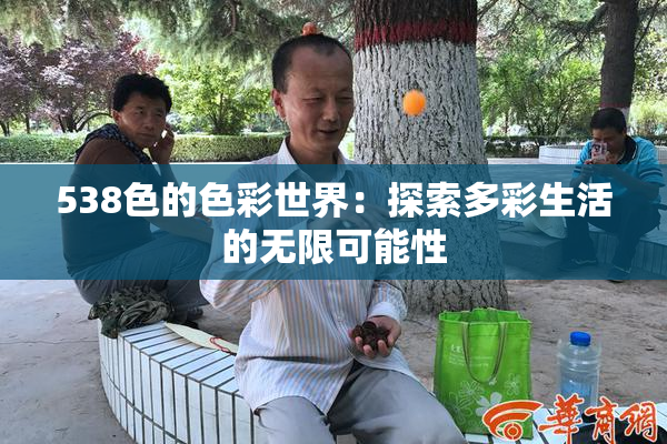 538色的色彩世界：探索多彩生活的无限可能性