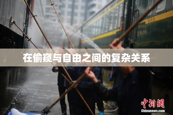 在偷窥与自由之间的复杂关系
