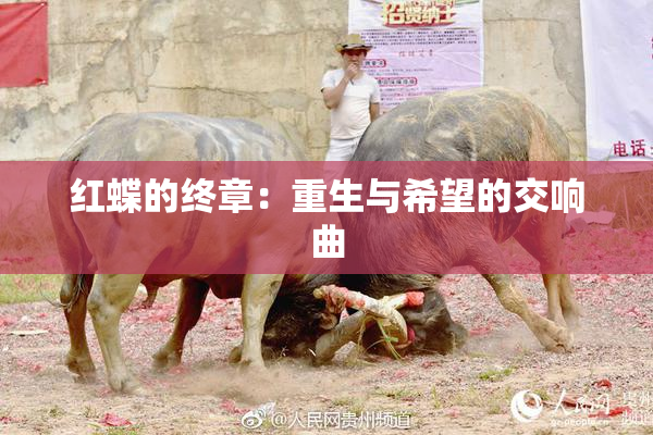 红蝶的终章：重生与希望的交响曲