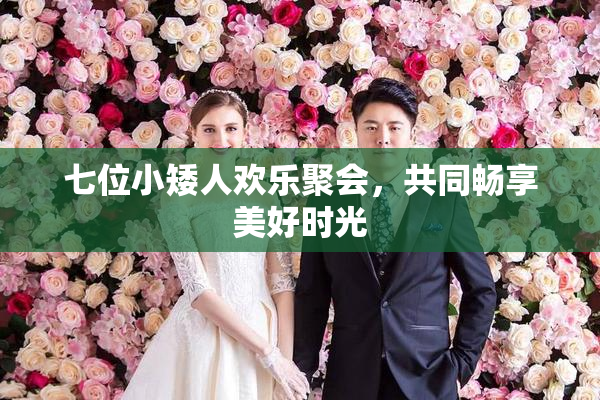 七位小矮人欢乐聚会，共同畅享美好时光