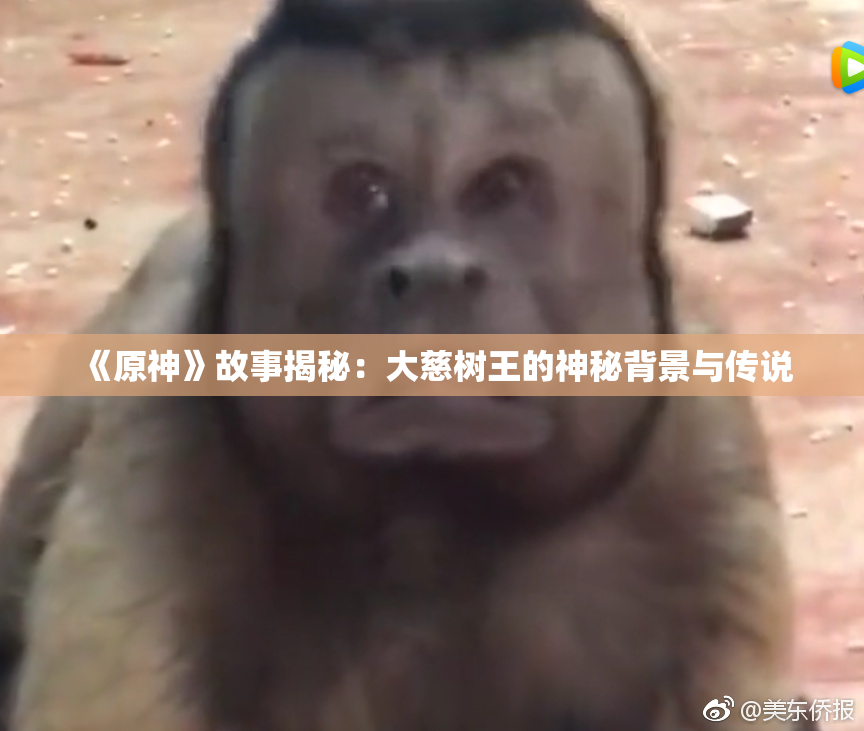 《原神》故事揭秘：大慈树王的神秘背景与传说