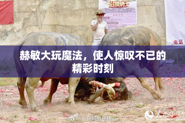 赫敏大玩魔法，使人惊叹不已的精彩时刻