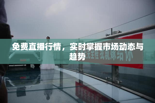 免费直播行情，实时掌握市场动态与趋势