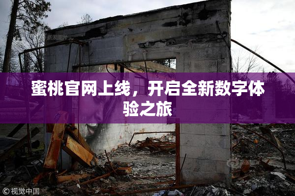 蜜桃官网上线，开启全新数字体验之旅