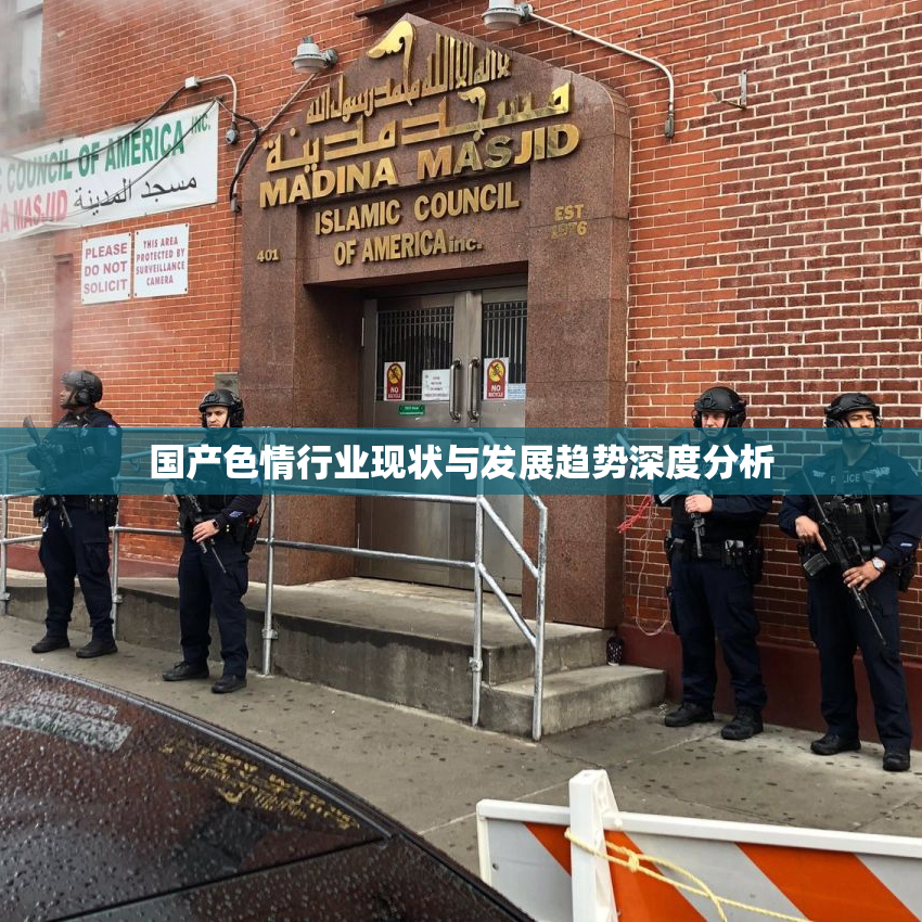 国产色情行业现状与发展趋势深度分析