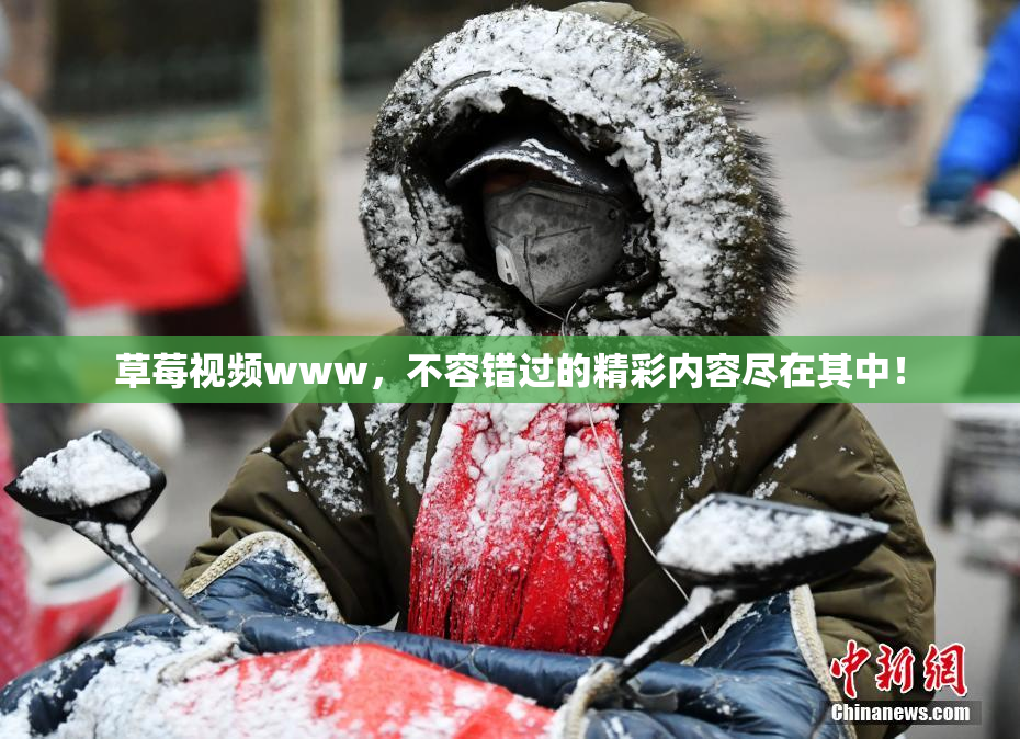 草莓视频www，不容错过的精彩内容尽在其中！