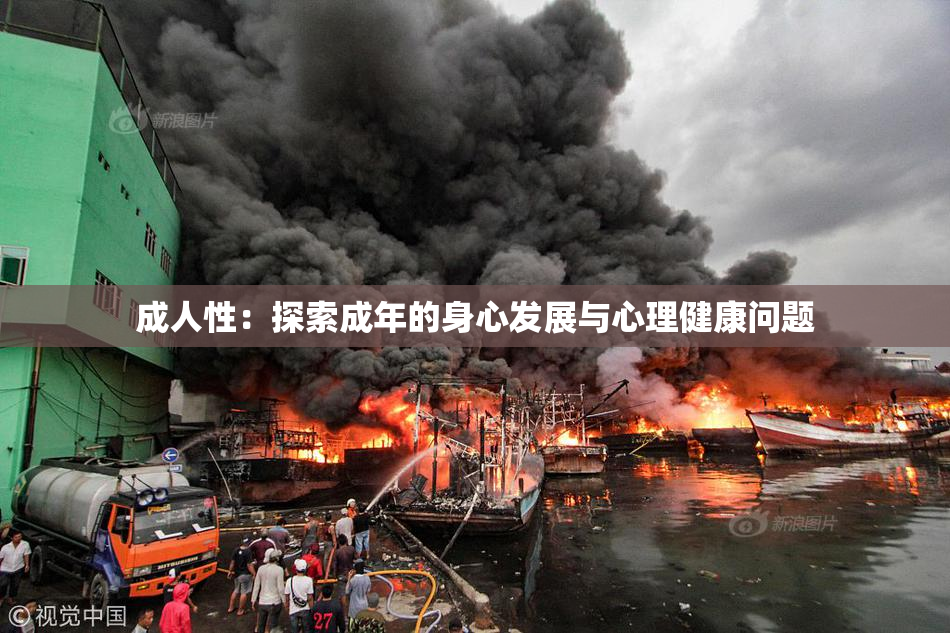 成人性：探索成年的身心发展与心理健康问题
