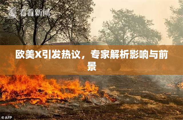 欧美X引发热议，专家解析影响与前景