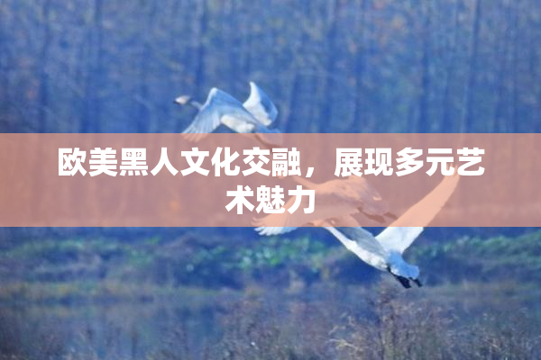 欧美黑人文化交融，展现多元艺术魅力