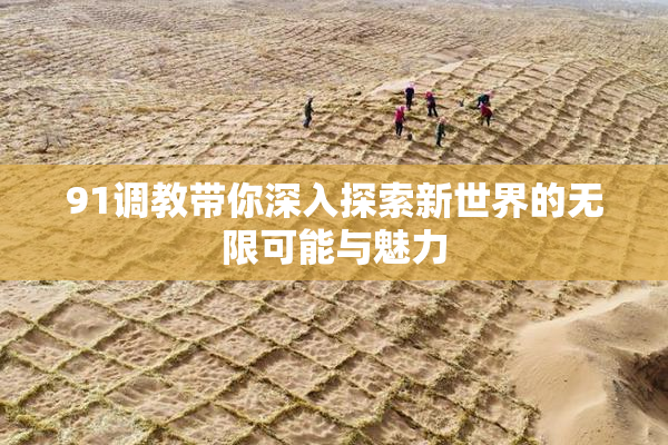 91调教带你深入探索新世界的无限可能与魅力