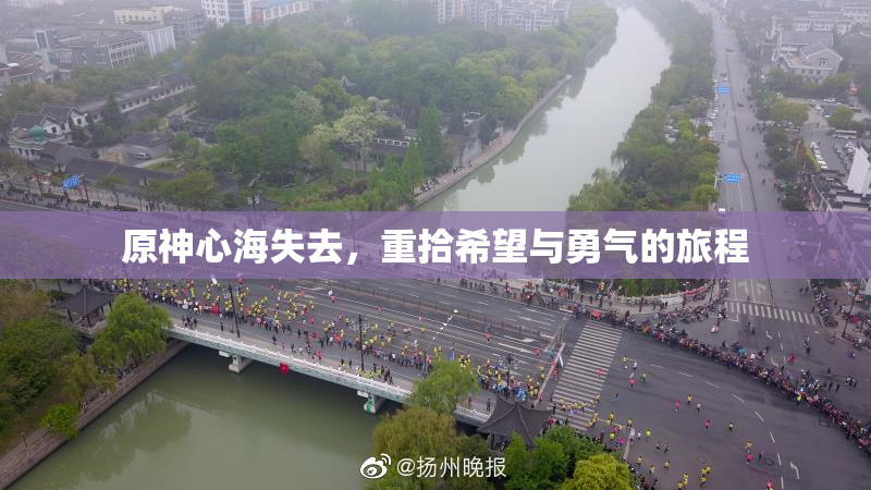 原神心海失去，重拾希望与勇气的旅程