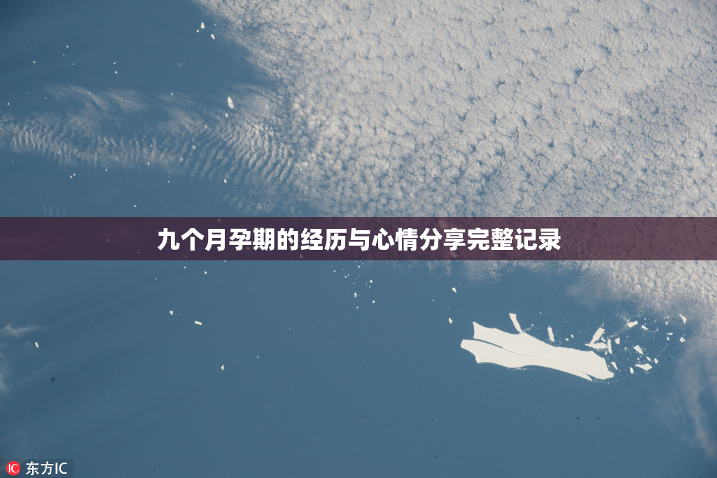 九个月孕期的经历与心情分享完整记录