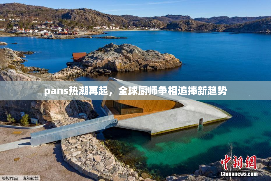 pans热潮再起，全球厨师争相追捧新趋势