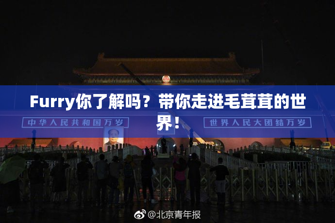 Furry你了解吗？带你走进毛茸茸的世界！