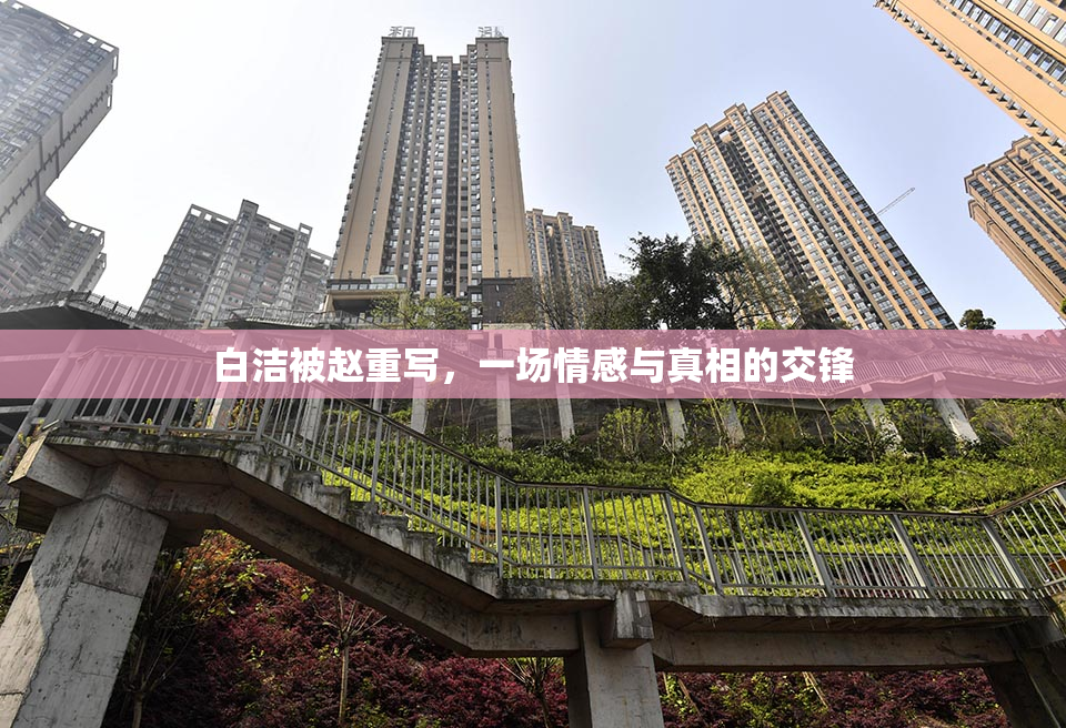 白洁被赵重写，一场情感与真相的交锋