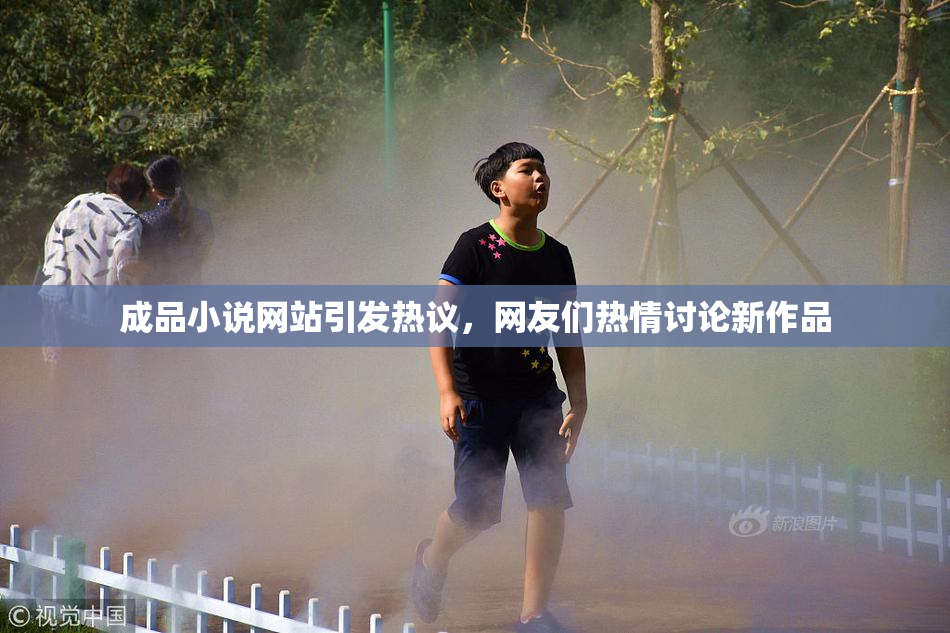 成品小说网站引发热议，网友们热情讨论新作品