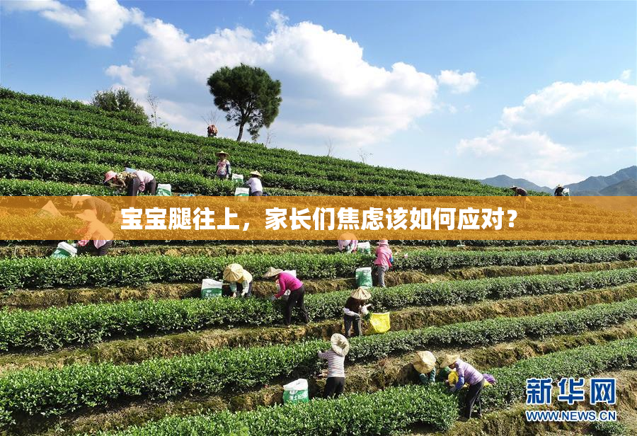 宝宝腿往上，家长们焦虑该如何应对？