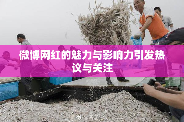 微博网红的魅力与影响力引发热议与关注