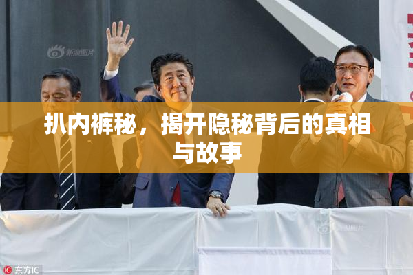 扒内裤秘，揭开隐秘背后的真相与故事