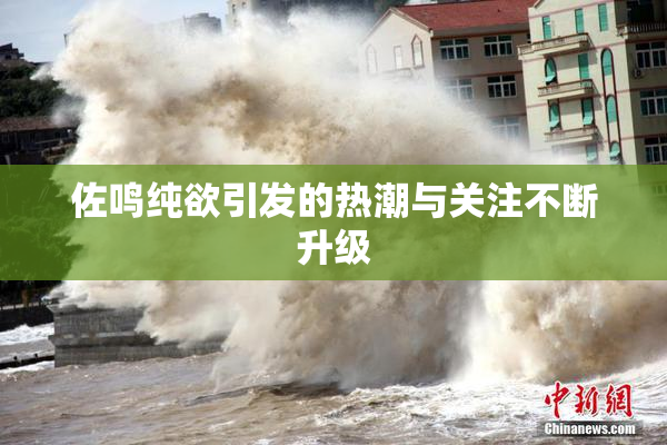 佐鸣纯欲引发的热潮与关注不断升级