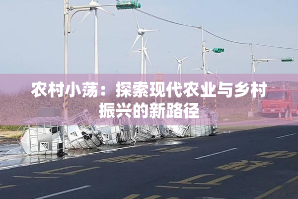 农村小荡：探索现代农业与乡村振兴的新路径