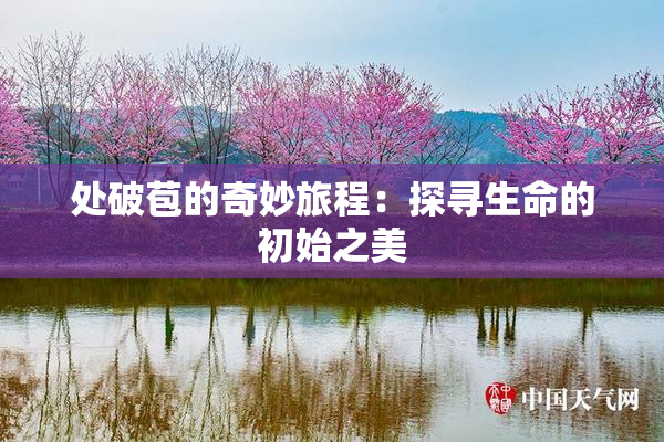 处破苞的奇妙旅程：探寻生命的初始之美