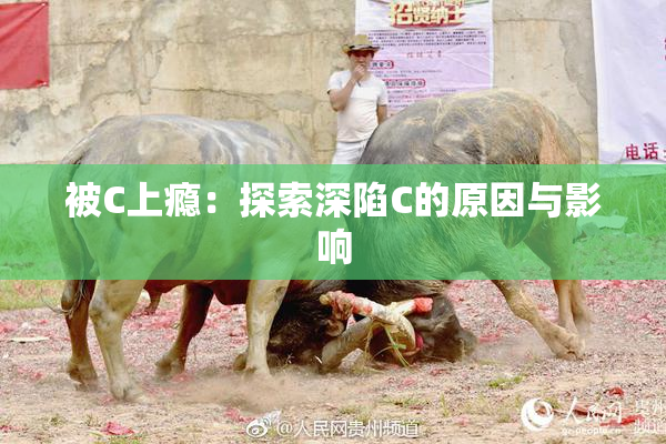 被C上瘾：探索深陷C的原因与影响