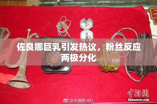 佐良娜巨乳引发热议，粉丝反应两极分化
