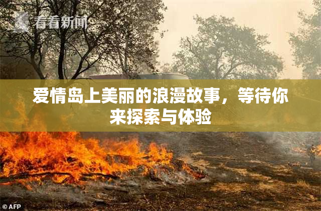 爱情岛上美丽的浪漫故事，等待你来探索与体验