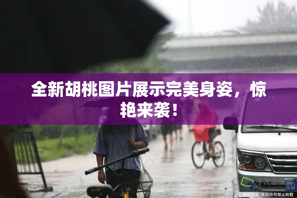 全新胡桃图片展示完美身姿，惊艳来袭！