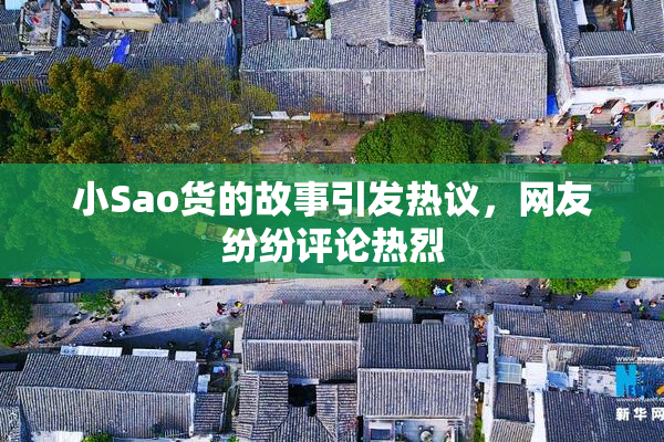 小Sao货的故事引发热议，网友纷纷评论热烈