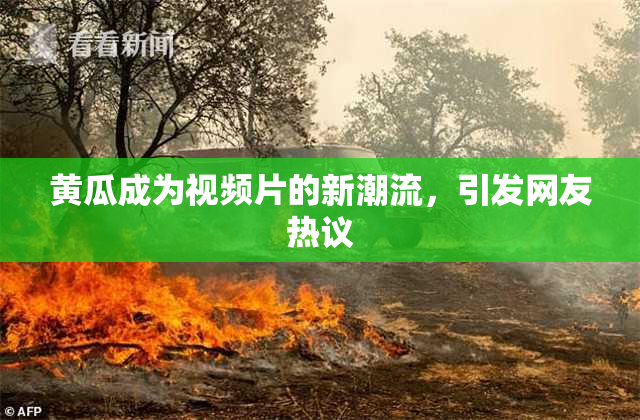黄瓜成为视频片的新潮流，引发网友热议