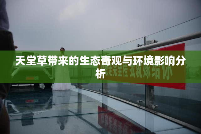 天堂草带来的生态奇观与环境影响分析