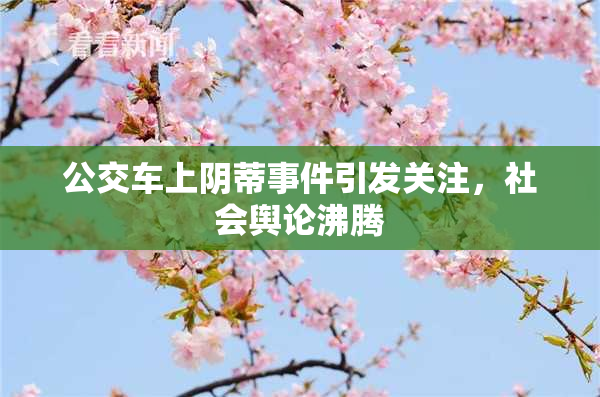 公交车上阴蒂事件引发关注，社会舆论沸腾