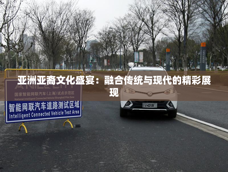 亚洲亚裔文化盛宴：融合传统与现代的精彩展现