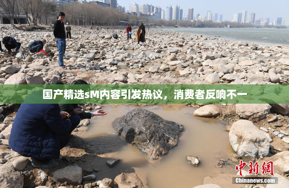 国产精选sM内容引发热议，消费者反响不一