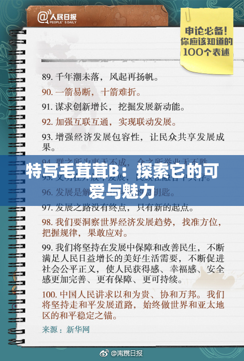 特写毛茸茸B：探索它的可爱与魅力